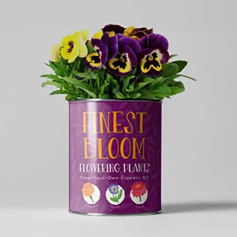 Finest Blooms. Eco Grow Your Own Flowers Gardening Kit.