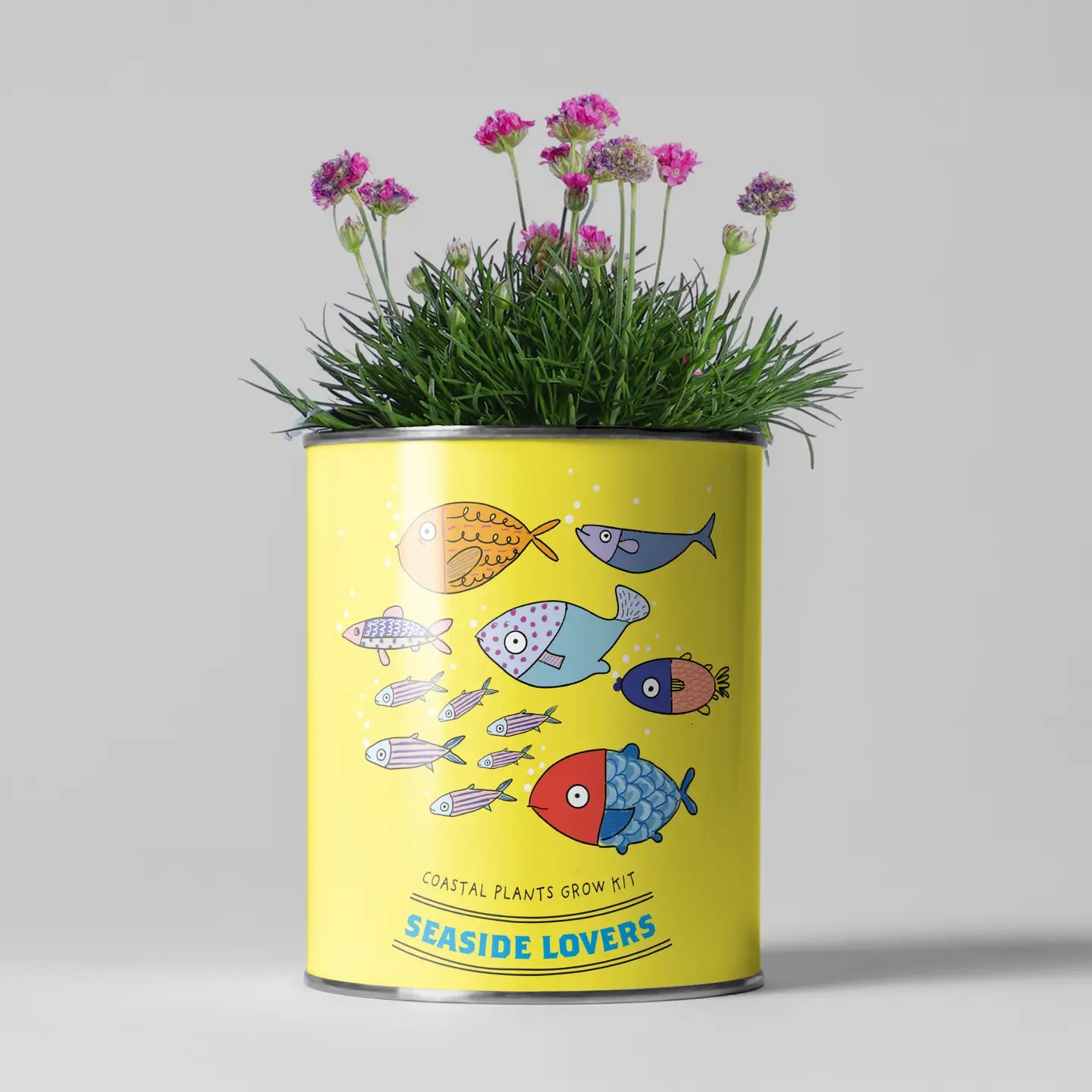 Seaside Lovers. Eco Grow Your Own Plant Kit, Gardening Gift