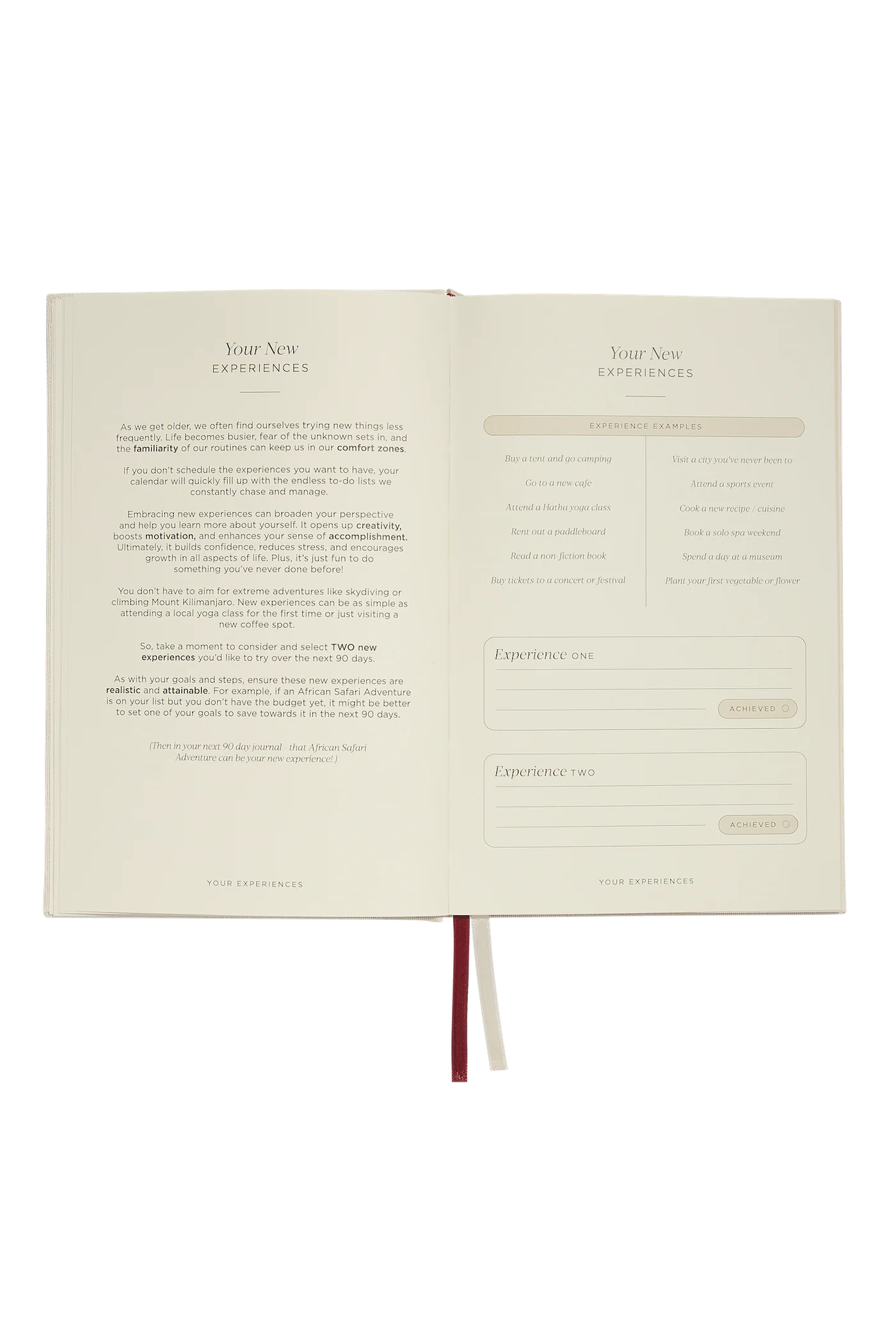 THE FUTURE SELF LIFESTYLE JOURNAL