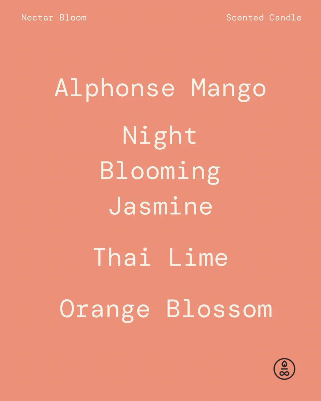 AetherCo: Nectar Bloom 160g Candle